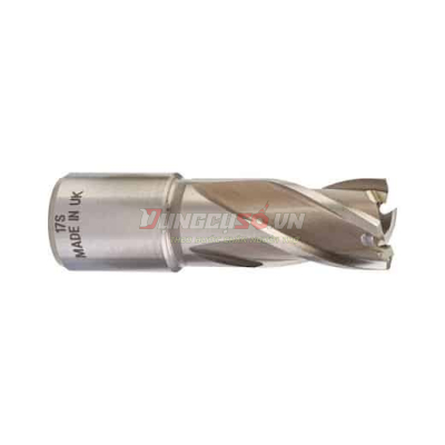 Mũi khoét lỗ kim loại Milwaukee  30mm Annular 4932343270