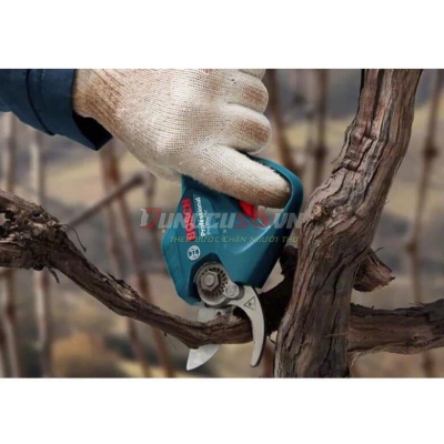 Pro Pruner