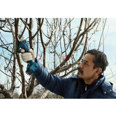 Pro Pruner