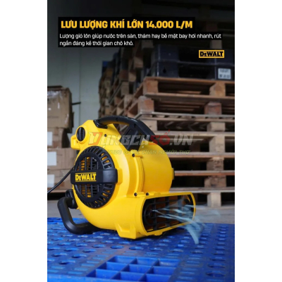 Máy thổi khô thảm, sàn Dewalt DXAM2250 130W