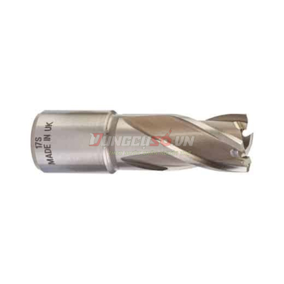 Mũi khoét lỗ kim loại Milwaukee  30mm Annular 4932343270