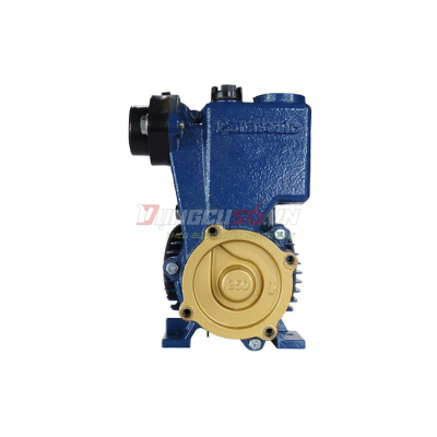 Máy bơm nước đẩy cao 250W Panasonic GP-250JXK-NV5