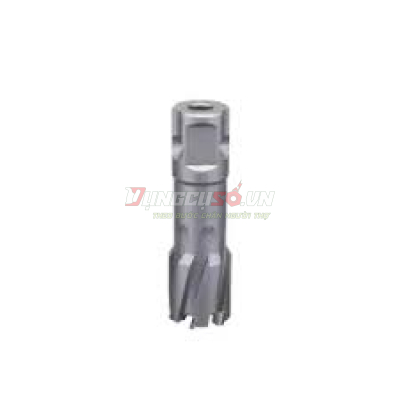Mũi khoan từ carbide, 20x50mm (dùng PL8050)